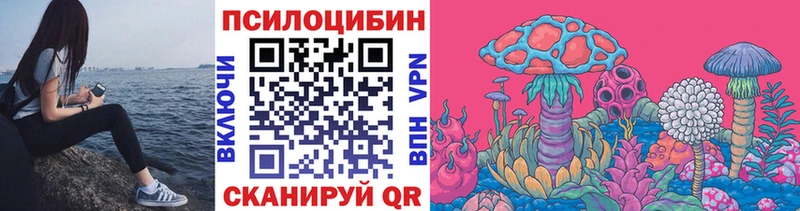 omg ссылка  Ветлуга  Псилоцибиновые грибы GOLDEN TEACHER  купить наркоту 