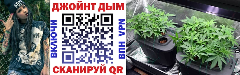 Конопля OG Kush  как найти закладки  Ветлуга 